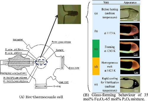 Figure 4. Schematic diagram of the hot-thermocouple cell used for observing the IPG forming process and experimental result.