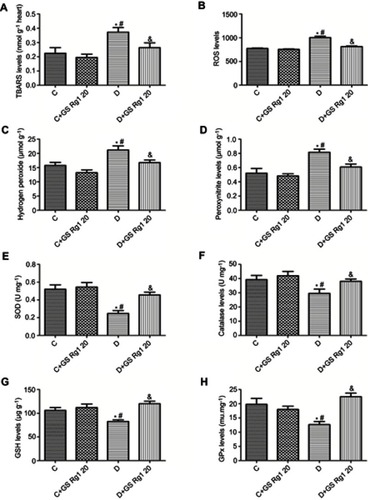 Figure 2 Effects of GS Rg1 on the cardiac oxidative stress and antioxidant defense system in control and diabetic rats. (A) Cardiac TBARS levels. (B) Cardiac ROS levels. (C) Cardiac hydrogen peroxide levels. (D) Cardiac peroxynitrite levels. (E) Myocardial SOD levels. (F) Myocardial catalase levels. (G) Myocardial GSH levels. (H) Myocardial GPx levels. P<0.05. (*) vs C; (#) vs C+GS Rg1 20; (&) vs D.