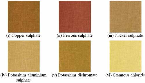 Figure 4. Colors produced by different pre-mordants with dye extracts on cotton fabric.