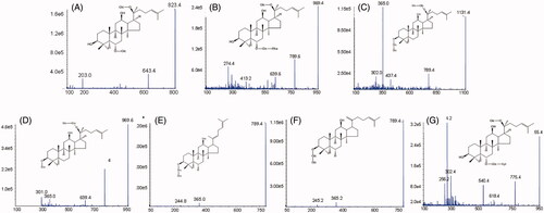 Figure 1. Chemical structures and product ion mass spectra of GRg1 (A), GRe (B), GRb1 (C), GRd (D), GRg5 (E), GRk1 (F) and NGR1 (G).