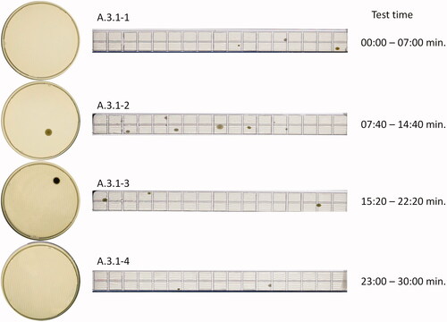 Figure 12. Microbial air sampling results on 90 mm TSA plates and RCS® stripes for test A.3.1.