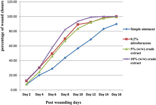 Figure 1 Progress of wound contraction of crude extract of leaves of A. schimperi in mice in an excision wound model.