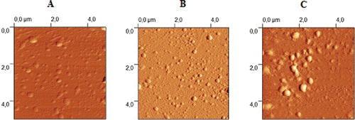 Figure 1.  Atomic force microscopy (AFM) images of SLN (A: Pro25; B: Pro100; C: Pro200).