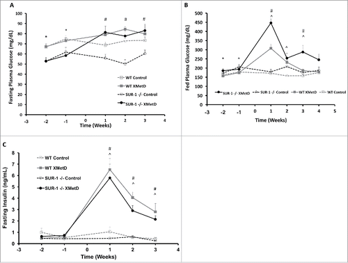 Figure 2. Fasting and Fed Plasma Glucose and Plasma Insulin. (A) Fasting plasma glucose (in mg/dL) in wild-type mice treated with control antibody (n = 10), wild-type mice treated with XMetD (n = 10), SUR-1 −/− mice treated with control antibody (n = 10), SUR-1 −/− mice treated with XMetD (n = 10). * P≤0.001: wild-type vs. SUR-1 −/−; # P≤0.005 SUR-1 −/− control vs. SUR-1 −/− XMetD. (B) Fed plasma glucose (in mg/dL) in wild-type mice treated with control antibody (n = 10), wild-type mice treated with XMetD (n = 10), SUR-1 −/− mice treated with control antibody (n = 10), SUR-1 −/− mice treated with XMetD (n = 10). * P≤0.05: wild-type vs. SUR-1 −/−; # P≤0.01 SUR-1 −/− control vs. SUR-1 −/− XMetD; ^ P≤0.03 wild-type control vs. wild-type XMetD (C) Fasting plasma insulin levels (in ng/mL) in wild-type mice treated with control antibody (n = 10), wild-type mice treated with XMetD (n = 10), SUR-1 −/− mice treated with control antibody (n = 10), SUR-1 −/− mice treated with XMetD (n = 10). # P≤0.0004 SUR-1 −/− control vs. SUR-1 −/− XMetD; ^ P≤0.0004 wild-type control vs. wild-type XMetD.