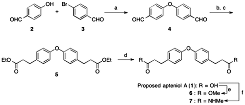 Scheme 1. Synthesis of proposed apteniol A and its derivatives.Notes: Reagents and conditions: (a) CuI, N,N-dimethylglycine HCl salt, Cs2CO3, DMF, 100 °C (82%); (b) triethyl phosphonoacetate, NaH, benzene, rt (96%); (c) Pd/C, H2, MeOH, 50 °C (98%); (d) NaOH, THF/H2O, rt (62%); (e) H2SO4, MeOH, reflux (90%); (f) methylamine (40% in methanol), NaH, 100 °C (40%).