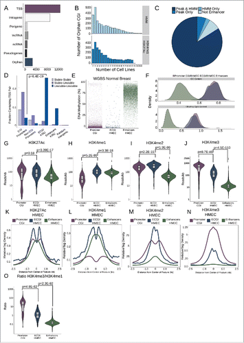 Figure 1. Most orphan CpG islands exhibit an enhancer chromatin state. (A) CpG Islands were categorized hierarchically by distance to the nearest Gencode annotated gene. Shown is the number of CGI that overlap the TSS of a protein-coding gene (TSS), those that overlap a protein coding gene but not the TSS (intragenic), those that lie in proximity (+/−2 kb) of a protein coding gene (perigenic), or those that are within 2 kb of, or overlap, a long non-coding RNA (lncRNA), other non-coding RNAs (ncRNA), or a pseudogene. CGI more than 2 kb from any of these gene classes were considered orphan CGI (see Methods). (B) Enhancers were defined either as the overlap of H3K4me1/H3K27Ac peaks or by an HMM chromatin state as annotated in over 100 cell lines (see Methods). The histograms represent the number of cell lines in which orphan CGIs overlap an enhancer by each definition. (C) Distribution of orphan CGI meeting one or both enhancer definitions in at least one cell line. (D) Stable or Unstable transcript pairs as defined in K562 cellsCitation15 were intersected with promoter CGI, the TSS (+/−500 bp) of other coding genes that not within 2.5 kb of a CGI, ECGI, and classical enhancers active in K562 cells. Shown is the fraction of each set of genomic regions that overlap stable, unstable or mixed transcript pairs. (E) Distribution of the average DNA methylation in WGBS data from normal breast tissue (TCGA) across promoter CGI (those overlapping a coding TSS), ECGI active in HMEC cells, and classical enhancers active in HMEC cells (those orphan CGI or other regions meeting both the H3K27Ac/H3K4me1 peak and HMM enhancer definition). (F) Density of the G+C content (%GC) and CpG content (Observed/Expected) among promoter CGI, vs. ECGI and classical enhancers active in HMEC cells. (G-N) Analysis of H3K27Ac or H3K4me1/2/3 at promoter CGI, HMEC ECGI, and HMEC classical enhancers. (G-J) Distribution of the density (reads/kb) for the indicated chromatin mark among genomic loci in each class. Line indicates median, boxes are the first and third quartiles and whiskers represent the highest and lowest values within 1.5 times the inter-quartile range. (K-N) relative tag densities for the indicated chromatin mark was determined in 10 bp bins for +/−2.5 kb from the center of each genomic feature class as determined from ChIP-seq data from HMEC cells (ENCODE). (O) Distribution of the ratio of H3K4me3 to H3K4me1 tag densities across genomic loci in each class.