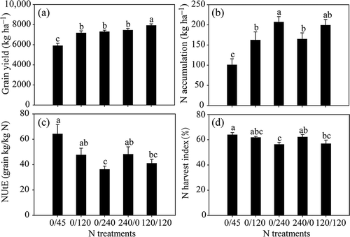 Figure 1 Grain yield, (a) nitrogen (N) accumulation, (b) N utilization efficiency (NUtE), (c) and N harvest index (d) of maize plants (Zea mays L.) grown under different N treatments. Bars indicate means ± standard error (SE) (n = 6). Significant differences at P < 0.05 are indicated by different letters.