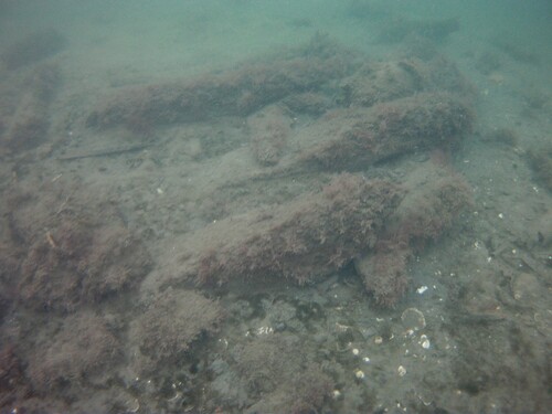 Figure 5. Part of the exposed hull section with frames, planking, and ceiling planks protruding from the sediment (Staffan von Arbin, University of Gothenburg).