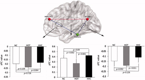 Figure 2. Results of FC analysis of each pair brain region under NC, HOT and HHC conditions. The brain region between right MPFC/ACC and bilateral PCC/PCu showed a positive correlation (red line in web/black line in print version). The brain region between right fusiform and right MPFC/ACC, bilateral PCC/PCu showed a negative correlation respectively (blue line in web/grey line in print version).