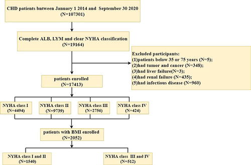 Figure 1 The flow chart of case screening.