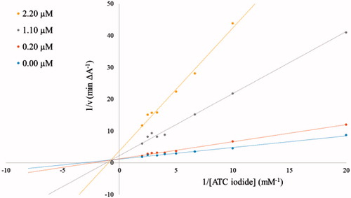 Figure 2. Lineweaver–Burk plots of the BuChE inhibition by compound 3b at different concentrations as indicated in the insert. All measurements were performed with 4 U/ml BuChE at the shown substrate concentrations.