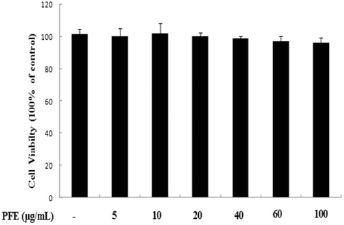 Figure 2. Cytotoxicity of PFE in RAW 264.7 cells. Cells were treated with different concentrations of PFE for 24 h, and viability was assayed by the MTT assay. Data represent mean values of triple determinations ± SEM. PFE at 100 μg/mL was not cytotoxic.