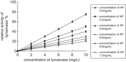 Figure 3 Inhibitory mechanism of apple polyphenols on tyrosinase.