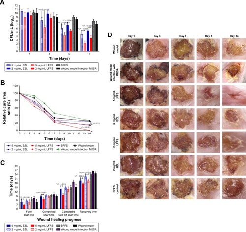 Figure 4 Antibacterial activity against MRSA in vivo. (A) Viable bacterial count of the wound. (B) Relative cure area ratio of the wound. (C) Wound-healing progress. (D) Graphical illustration of the changes in wound size on days 1, 3, 5, 7, and 14.Notes: **P < 0.01 denotes a highly significant difference, and *P < 0.05 denotes a significant difference (n = 6).Abbreviations: BFFS, blank film-forming system; BZL, benzalkonium bromide; MRSA, methicillin-resistant Staphylococcus aureus.