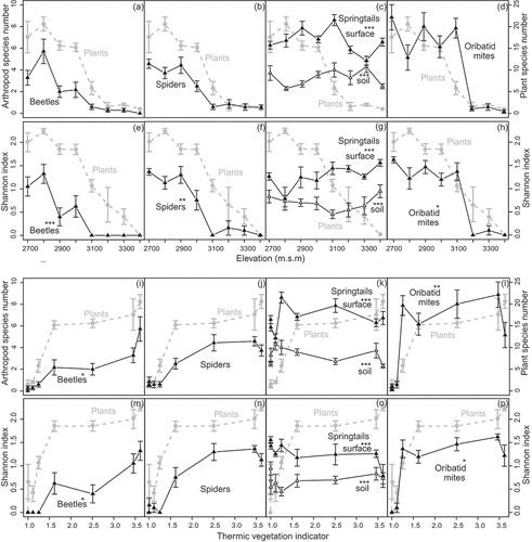 Figure 2. Diversity of animal groups compared to vascular plant species richness along the (a–h) elevational and (i–p) thermic indicator gradient. (a,e,i,m) Beetles, (b,f,j,n) spiders, (c,g,k,o) springtails from pitfall traps and soil samples, (d,h,l,p) oribatid mites. Values are means ± standard error of raw data of species richness (a–d, i–l) and Shannon index (e–h, m–p). Vascular plant diversity is illustrated in each subplot in grey. Significant deviations of the diversity patterns of animal groups from that of vascular plants are indicated with asterisks (significance levels: *p < 0.05, **p < 0.01, ***p < 0.001; species richness: generalized linear models with a quasi-Poisson distribution and penalized quasi-likelihood mixed models with a Poisson distribution, Shannon index: linear models and linear mixed-effects models; Table 3)