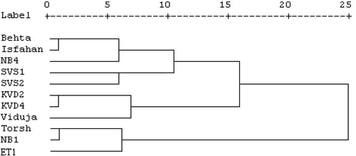 Figure 2. Cluster analysis of quince cultivars and genotypes based on quantitative characteristics