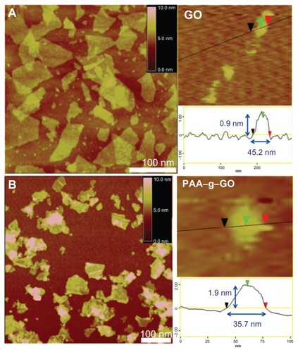 Figure 2 Atomic force microscopic images of (A) GO, and (B) PAA–GO.Abbreviations: GO, graphene oxide; PAA, polyacrylic acid.
