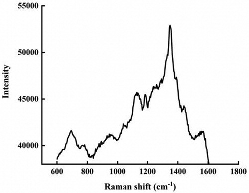 Figure 15. Raman spectra of AgNPs with enhanced antibacterial properties.