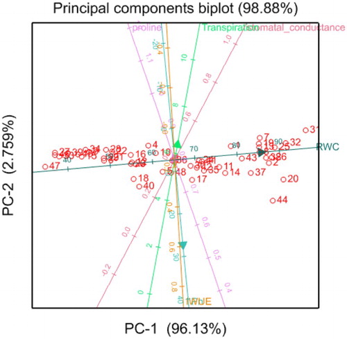 Figure 6. Biplot graphical display of the measured traits in wheat genotypes under both water stress and full irrigation conditions at tillering, flowering and grain filling. The above diagram is an outcome from the Principal Component Analysis (PCA). It illustrates the correlation among the measured physiological and leaf gas exchange traits for all the genotypes. The direction and alignment of the arrows of two or more traits demonstrate the correlation. Traits with arrows that are facing the same direction and closely together are positively correlated while those facing opposite direction from others indicate a negative correlation. IWUE (Display full size), Instantaneous Water Use Efficiency; RWC (Display full size), Relative Water Content; Pn (Display full size), Rate of photosynthesis.