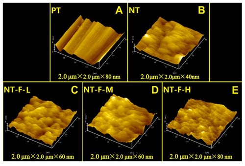 Figure 3 Atomic force microscopy images of different surfaces: (A) PT, (B) NT, (C) NT-F-L, (D) NT-F-M, and (E) NT-F-H. PT showed a microgroove structure, and porous-like structures were observed in other groups.Abbreviations: NT, nanotube; PT, polished titanium.
