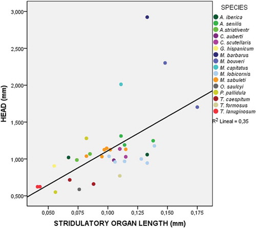 Figure 7. Scatter plot showing the relationship between the length of the pars stridens of the stridulatory organs and the cephalic width of the individual in speciemens of the 16 species considered for the analysis. Data for the listed species are shown in different colours.