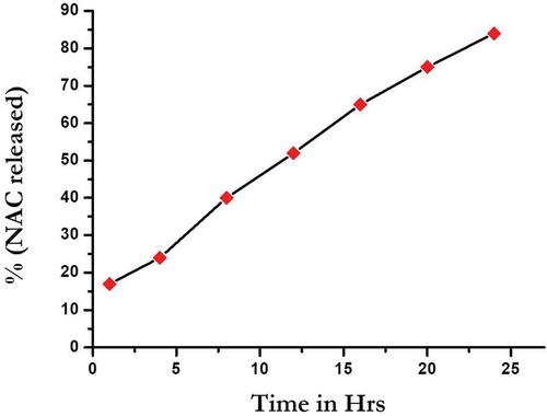 Figure 3. in-vitro release profile of SLN-NAC.