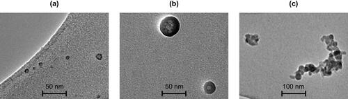 Figure 6. Transmission electron microscopy (TEM) micrographs showing individual (a) fuel originated core (FC) mode particles, (b) lubricating oil originated (LC) mode particles, and (c) soot mode particles.