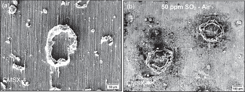 Figure 5. SE image of salted C-ring exposed for 50 hours in (a) Air, and (b) 50 ppm SO2 - Air.