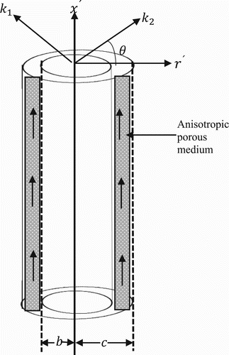 Figure 1 The physical geometry of the problem.