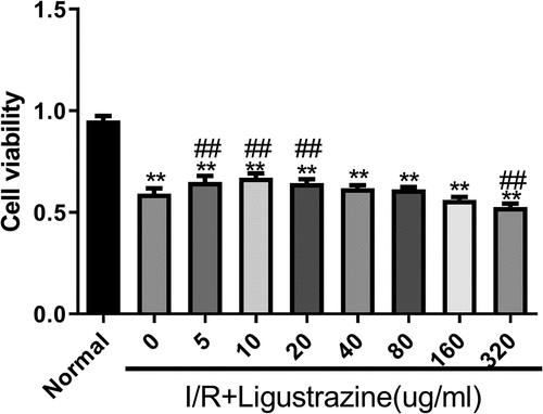 Figure 1. Low-concentration ligustrazine had a protective effect on RGCs after retinal I/R injury. After incubation with different concentrations of ligustrazine (0, 5, 10, 20, 40, 80, 160, or 320 μg/mL), CCK-8 assay was perfumed to verify the effect of ligustrazine on the cell viability of RGCs after retinal I/R injury. **p< 0.01 vs. normal group; ##p< 0.01 vs. model group