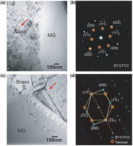 Figure 2. (colour online) Microstructural characterization related with phase transformation: (a) BF TEM image obtained from the as-extruded brass reinforced the Ni-based MG composite before deformation; (b) SADP obtained from the brass reinforcement (marked by the red arrow) of Ni-based MG composite before deformation showing a typical FCC crystallographic structure; (c) BF TEM image obtained from the brass reinforced Ni-based MG composite after deformation revealing nanoscale twins and adjacent nanocrystals; (d) SADP obtained from the brass reinforcement (marked by the red arrow) of the Ni-based MG composite after deformation showing a typical twinned structure.