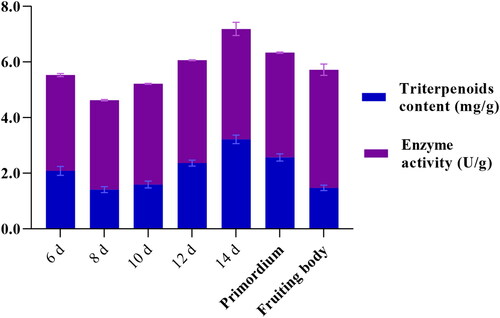 Figure 5. SbHMGR enzyme activity and triterpenoids content at different developmental stages in S. baumii.