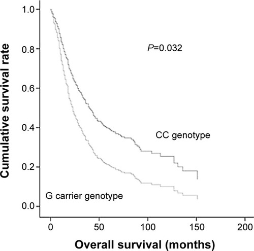 Figure 2 Overall survival analysis of patients.