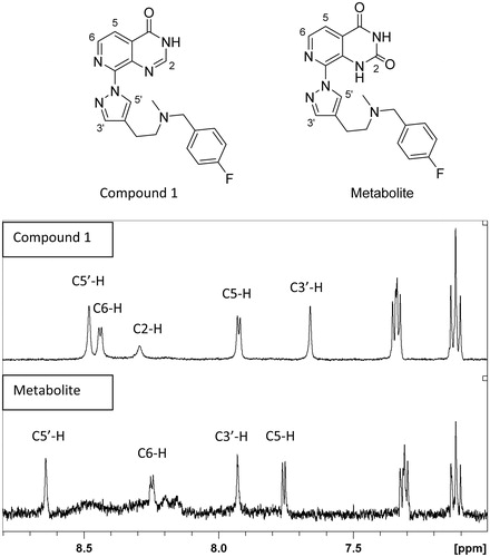 Figure 3. 1H NMR spectrum of compound 1 and its oxidation product referenced to internal deuterated solvent. Protons C5 and C6 are still present in the metabolite suggesting that the oxidation is at position C2 of the pyrido[3,4-d]pyrimidin-4(3H)-one scaffold.