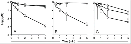 Figure 2. Effect of pure aromatic amino acids (Tyr, Trp, Phe) and peptides (peptone and casein) on the time-dependent decay of UV-irradiated phage particles. Values indicate means of 3 independent experiments ± standard deviations. (A): amino acids, circles: control without protectant, squares: 5 mM amino acids, triangles: 50 mM amino acids. (B): Peptone, circles: control without protectant, triangles: 50 mg/ml peptone. (C): Casein, circles: control without protectant, squares: 5 mg/ml casein, triangles: 10 mg/ml casein.