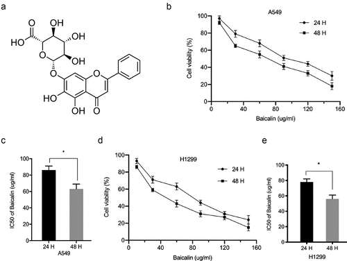 Figure 1. Baicalin reduced A549 and H1299 cell viability. (a) The baicalin chemical structure. (b-e) Cell viability was analyzed using different baicalin concentrations (2 time-points). *P < 0.05