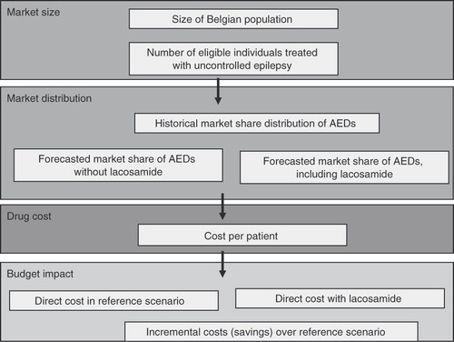 Figure 1.  Model structure of budget impact analysis. AED, anti-epileptic drug.