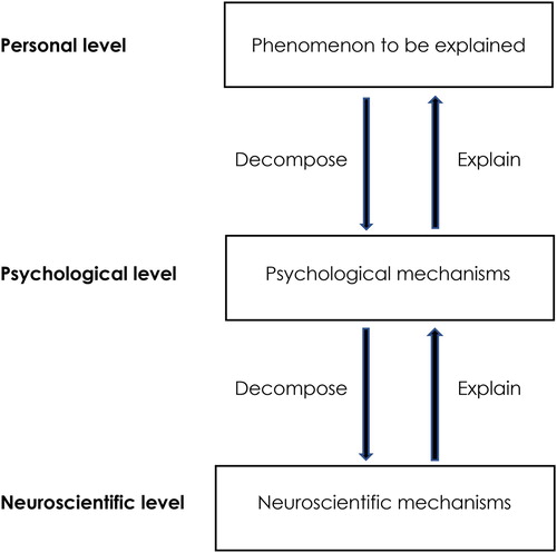 Figure 1. Personal level: A description of the phenomenon to be explained. Psychological level: The phenomenon is decomposed into its interacting constituent psychological processes, and this mechanism explains how the phenomenon is generated. Neuroscientific level: Neuroscientific explanations of psychological processes show how the phenomena are decomposed into, and thereby generated by, interactions between neuroscientific processes.