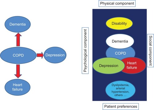 Figure 3 Differences in evaluation between comorbidity and multimorbidity.