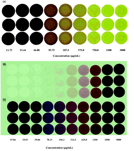 Figure 5. (a) Image of spots prepared with 1:1 serial dilution of gallic acid beginning from 3000 μg/mL highest concentration, and image of spots prepared with 1:1 serial dilution of alkanet extract beginning from 5000 μg/mL highest concentration containing (b) extract and reagent solvent (methanol) and (c) extract and DPPH• reagent.