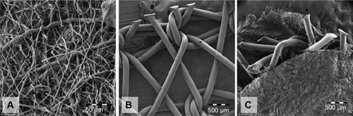 Figure 2 Scanning electron microscopy of the scaffolds. (A) Poly-ε-caprolactone (PCL) nanofibers, (B) polypropylene (PP) mesh, and (C) PP mesh functionalized with PCL nanofibers.Notes: (A) Magnification ×230, scale bar 50 μm; (B and C) magnification ×18, scale bar 500 μm.