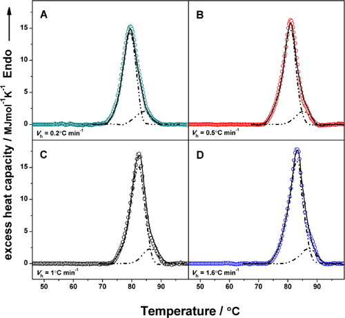 Figure 7. Experimental deconvolution of the Cp transition curves of HlH at a scan rate of: 0.2 °C min−1 (A); 0.5 °C min−1 (B); 1.0 °C min−1 (C); 1.6 °C min−1 (D). Symbols (○) depict the experimental data; dash-dot lines show the individual components, results of the annealing process, and solid lines represent the sum of the corresponding individual components. In all cases the protein concentration was 3 mg mL−1.