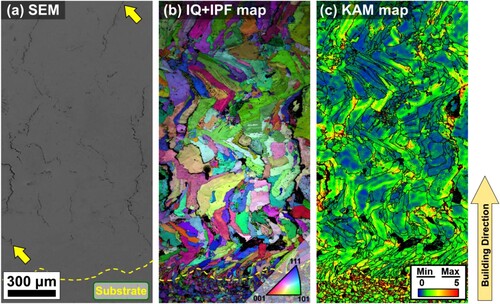 Figure 4. SEM-EBSD maps of crack zones: (a) SEM micrograph showing cracks in the composition range between (SS316L ∼2 to ∼24 wt%), with yellow arrows showing the cracks. (b) The inverse pole figure map of the region shown in (a) indicates that the cracks formed along the grain boundary; (c) the corresponding KAM map shows that the crack regions have high KAM values.