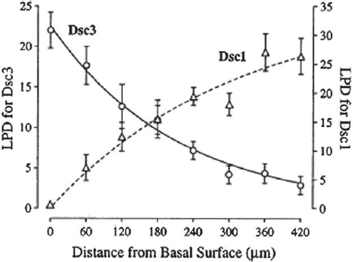 Figure 3. Graph showing reciprocal exponential distributions of Dsc1 and Dsc3 in bovine nasal epidermis as determined by quantitative analysis of immuno-gold labelling (CitationNorth et al., 1996).