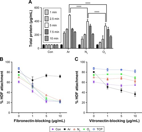 Figure 4 Protein adsorption studies. (A) Total protein adsorption on the scaffolds after plasma surface modification. Total serum protein adsorption was evaluated using the BCA assay. Total serum protein adsorption on all scaffolds was significantly higher after 5 minutes of PSM for all the test gases (****P<0.0001). Ar shows the highest protein adsorption among all the scaffolds (n=6). (B) Fibronectin and (C) vitronectin integrin-blocking experiments to assess specificity of adsorbed proteins on the scaffolds treated with plasma surface modification.Notes: Blocking of the fibronectin receptor α5β1 using fibronectin-blocking antibody (Anti-FN) led to dose-dependent decreased cell adhesion on the N2- and O2-treated scaffolds but not on Ar-treated scaffolds, confirming the role of fibronectin-mediated attachment on N2- and O2-treated scaffolds. Blocking of the vitronectin receptor αVβ3 using vitronectin-blocking antibody (Anti-VN) led to dose-dependent decreased cell adhesion on the Ar-treated scaffold but not on N2- and O2-treated scaffolds, confirming the dominant role of vitronectin-mediated attachment on Ar scaffolds (n=6).Abbreviations: Ar, argon; BCA, bicinchoninic acid; Con, untreated; N2, nitrogen; O2, oxygen; PSM, plasma surface modification; TCP, tissue culture plate.