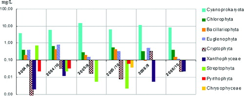 Figure 10. Average phytoplankton biomass of taxonomic groups in Vaya Lake (2004–2006).