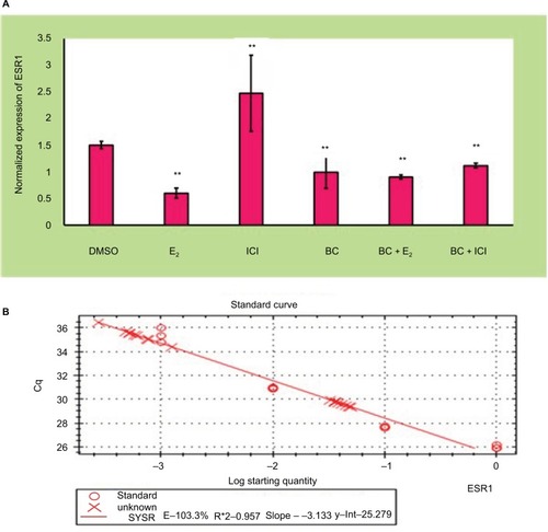 Figure 7 Effects of BC on ESR1 gene expression.