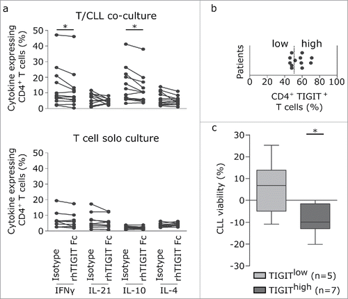 Figure 6. TIGIT blockade decreases CLL viability and interferes with production of prosurvival cytokines. (a, b) Impact of TIGIT blockade on cytokine production by CD4+ T cells. PBMCs (upper panel; n = 12) or purified T cells (bottom panel; n = 10) were activated with CD3/CD28 beads for 24 h in the presence of recombinant TIGIT-Fc protein (rhTIGIT Fc) or corresponding isotype control and cytokines were quantifiued by intracellular FACS staining. (b) FACS analysis of surface expression of TIGIT was performed on peripheral blood samples from CLL patients (n = 12). Plot of percentages of CD4+TIGIT+ T cells are shown, discriminating between TIGITlow (<52.6% CD4+TIGIT+cells) and TIGIThigh (>52.6% CD4+TIGIT+cells). (c) Plot represents difference in CLL viability between TIGIT-Fc or isotype control treated samples. Viability was determined by 7AAD/Annexin V staining after stimulating T/CLL co-cultures from TIGITlow (left) and TIGIThigh (right) patients shown in (b) using anti-CD3/CD28 beads for 5 days in the presence of recombinant TIGIT-Fc or isotype control.