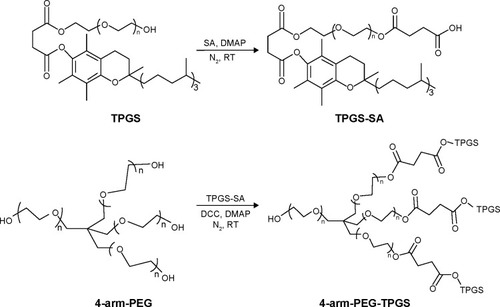 Figure 1 Synthetic route of 4-arm-PEG-TPGS.Abbreviations: PEG, polyethylene glycol; TPGS, D-α-tocopherol polyethylene glycol succinate; SA, succinic anhydride; DMAP, 4-dimethylamino pyridine; DCC, dicyclohexylcarbodiimide; RT, room temperature.