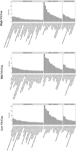 Figure 6 GO subcategories of the DEGs in liver samples. GO, Gene Ontology; DEGs, differentially expressed genes.